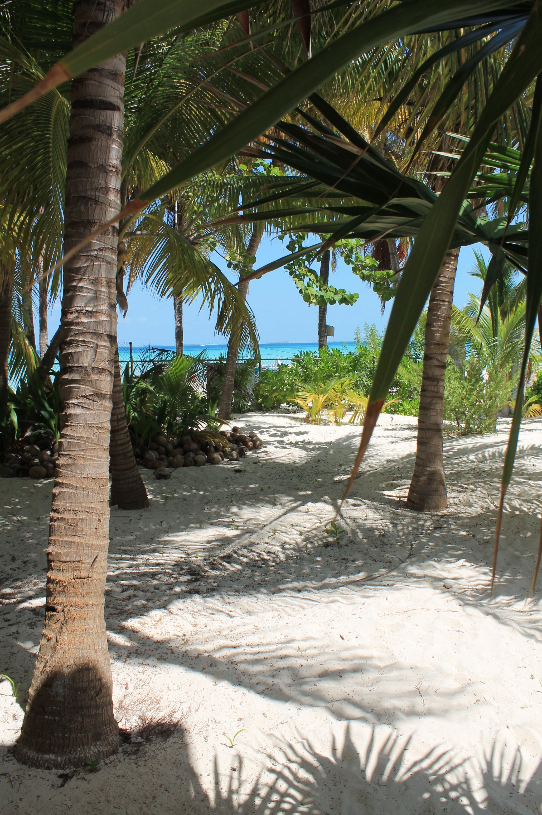 Cabanas Maria Del Mar Isla Mujeres Eksteriør bilde